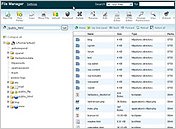 cPanel - File Manager